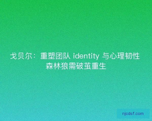 戈贝尔：重塑团队 identity 与心理韧性 森林狼需破茧重生
