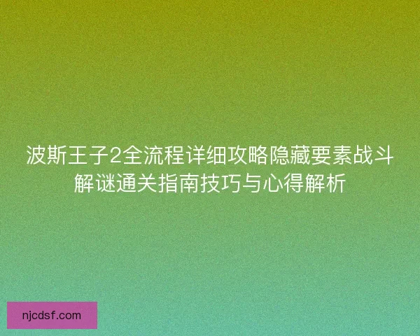 波斯王子2全流程详细攻略隐藏要素战斗解谜通关指南技巧与心得解析
