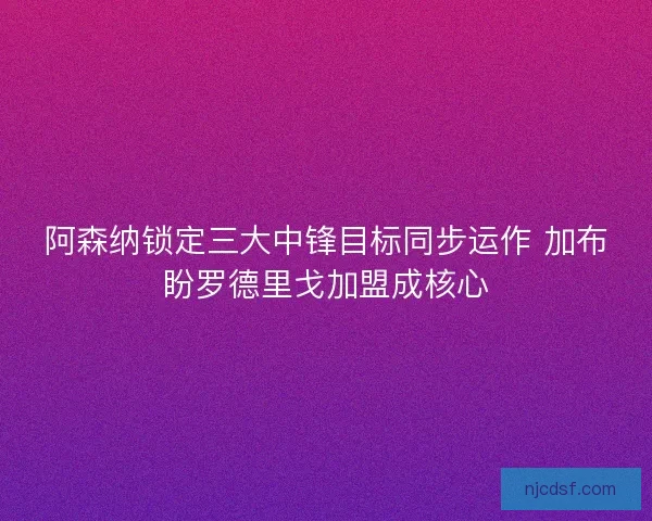 阿森纳锁定三大中锋目标同步运作 加布盼罗德里戈加盟成核心