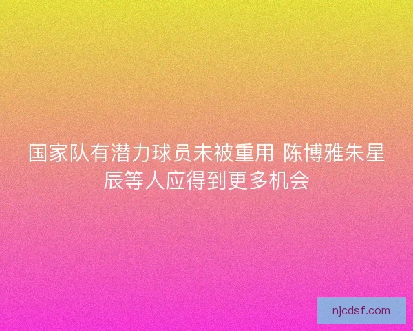 国家队有潜力球员未被重用 陈博雅朱星辰等人应得到更多机会